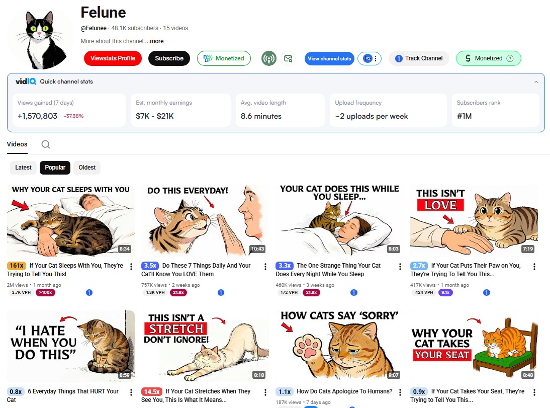 YouTube Automation tweet media