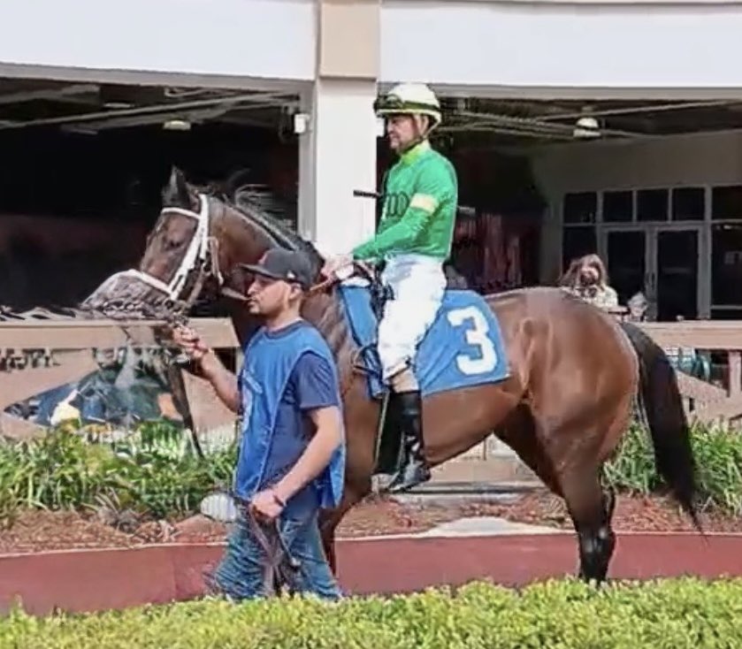 Jeff Lifson tweet media