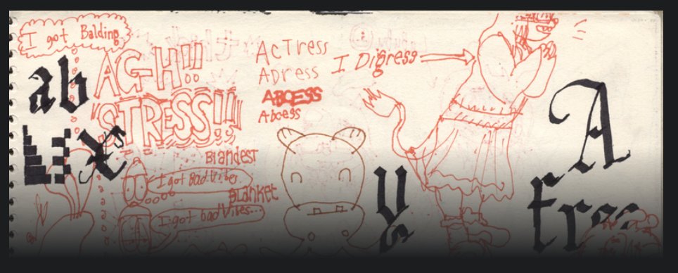 unregistered hypercam 2 tweet media