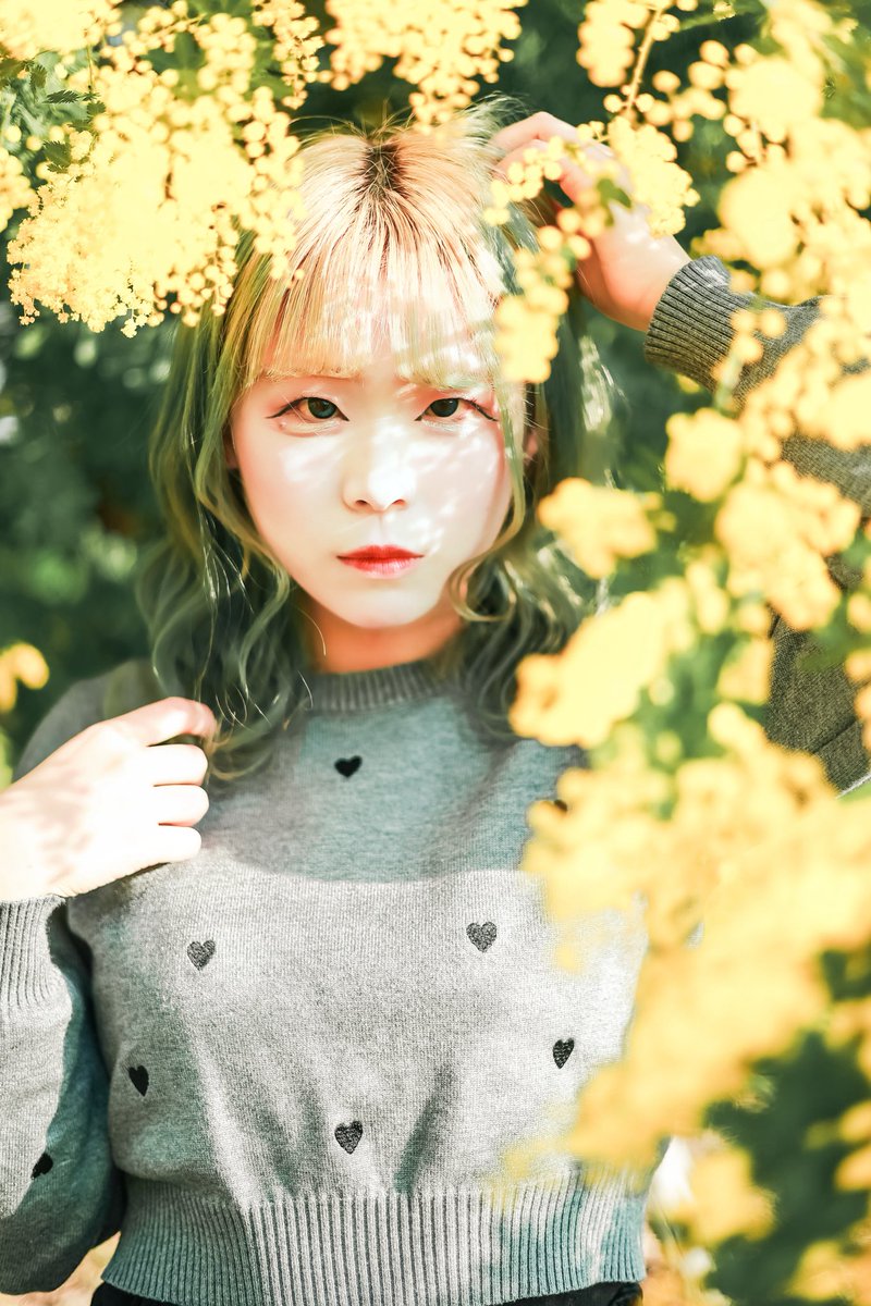 🍆キング🍆写真家 tweet media