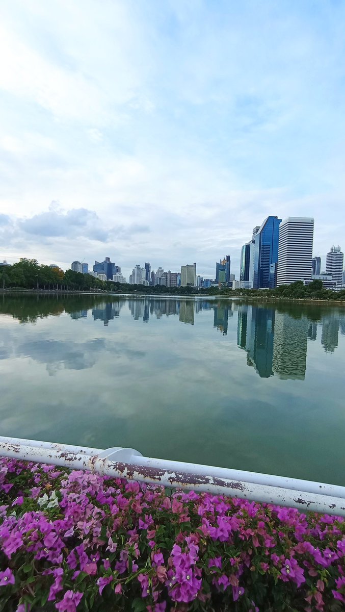 OjashSeeam's tweet photo. Beautiful day in the neighborhood ☀️

#bangkok #summer #nature https://t.co/4oSmJoQfTn