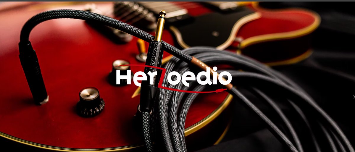 Herzoedio(ヘルゾエディオ) tweet media