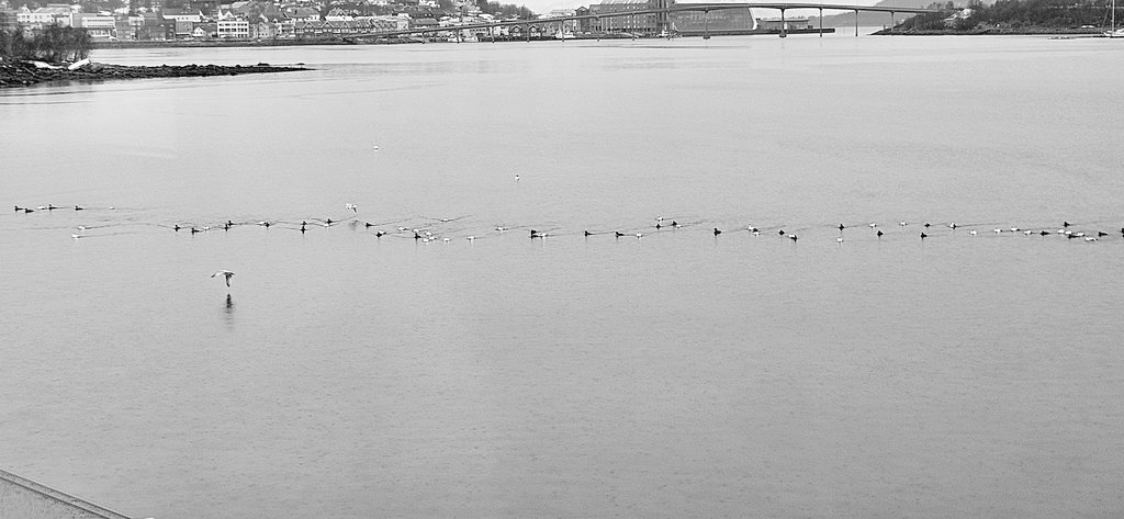 Aksel William Danenbarger tweet media