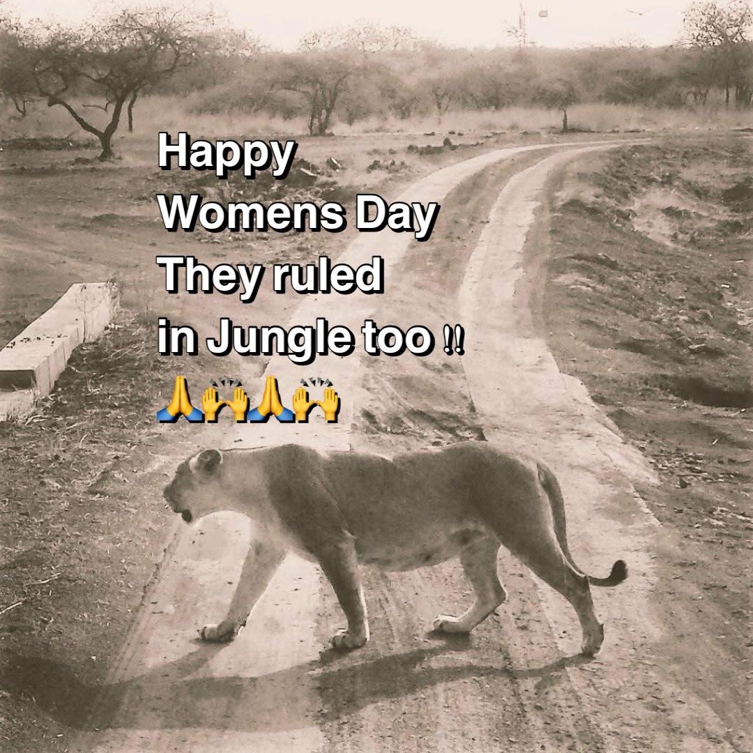 Ashwin Dave tweet media