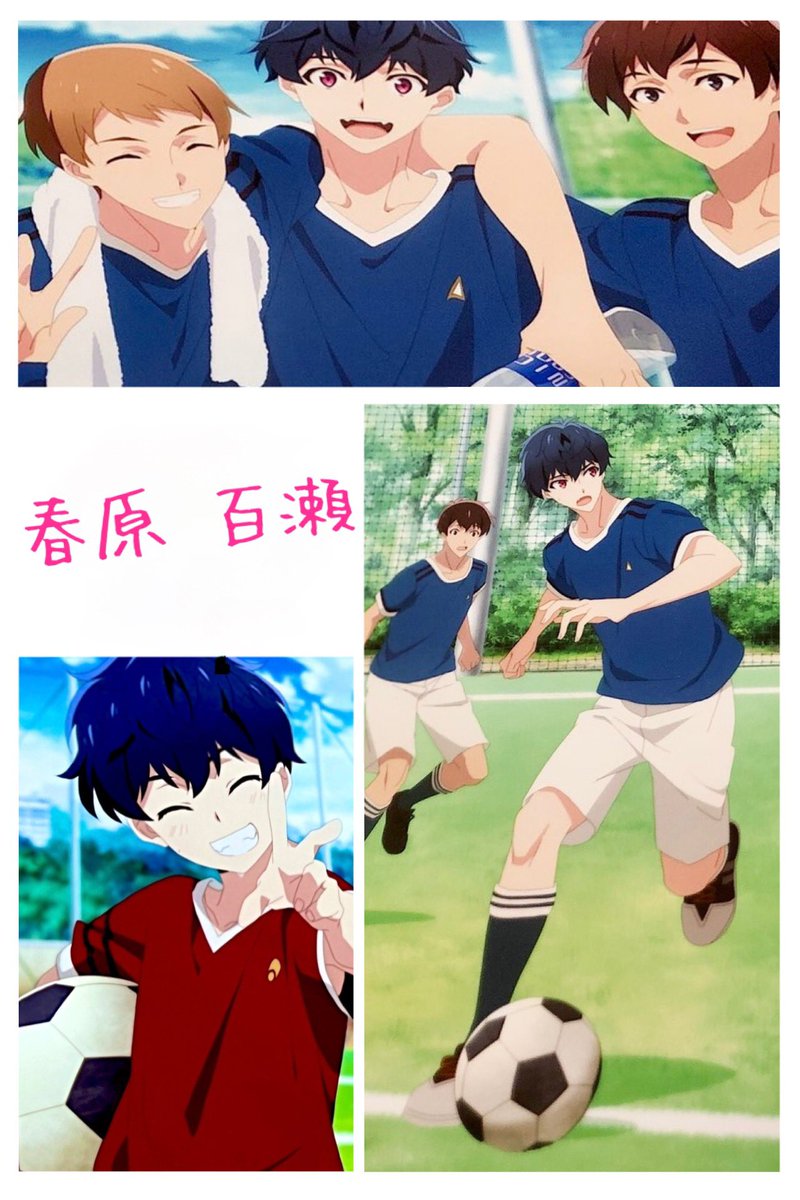 紫苑 tweet media