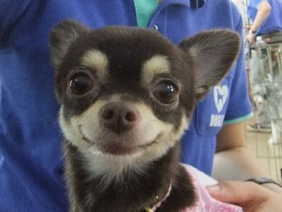 Rest. OnE tweet media