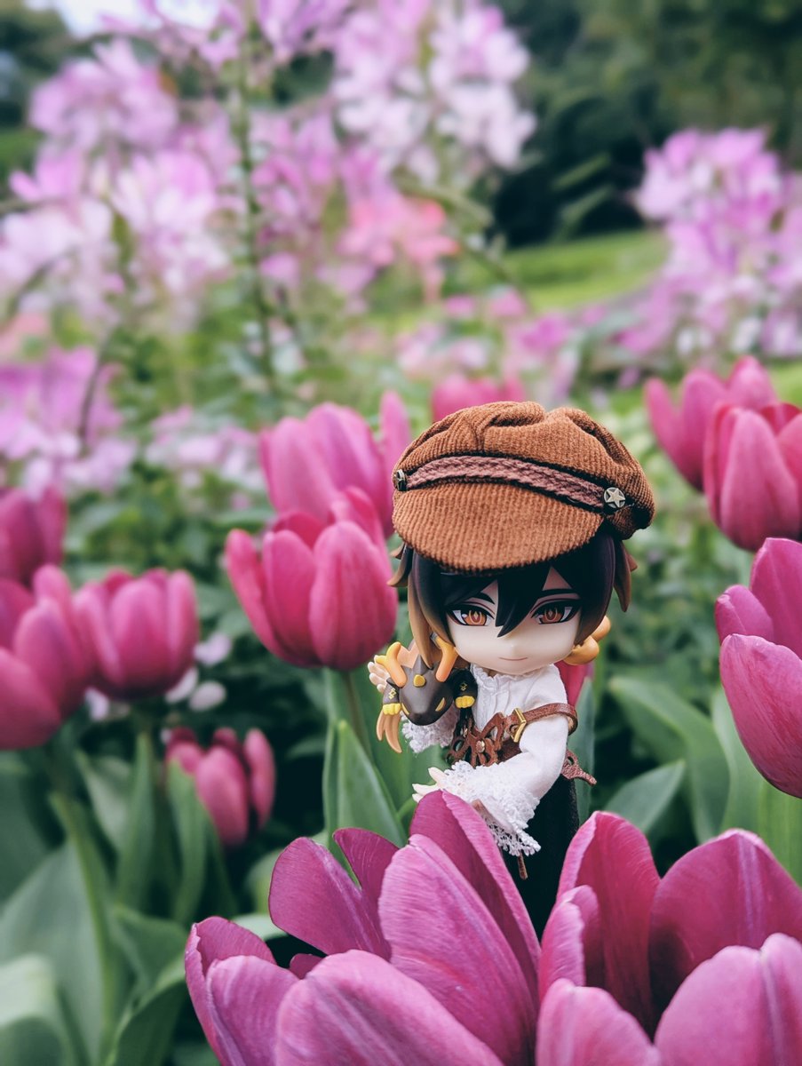 casiarion tweet media