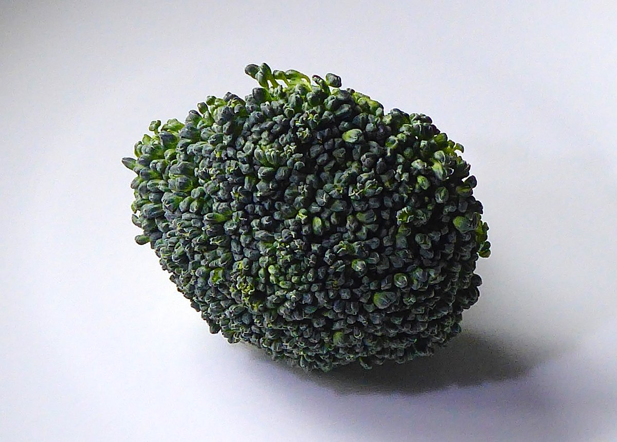 Delweddauimages's tweet image. Broccoli #project26 #veg #broccoli #fiveaday #vegan #stillife see more at delweddauimages.co.uk/2026-projects