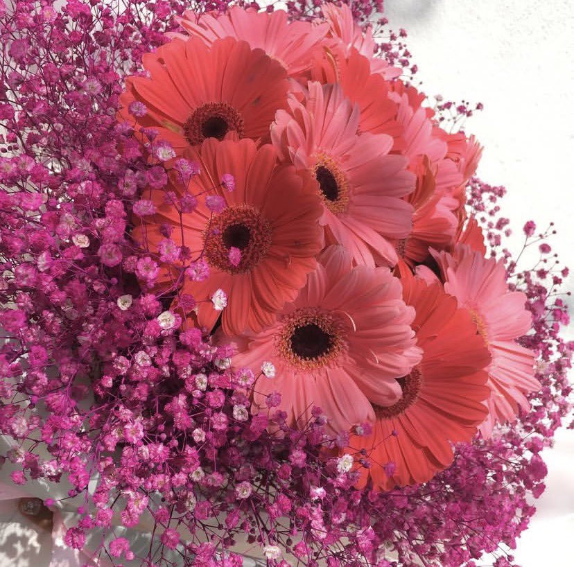 thegiftplug's tweet photo. We’re set for International Women’s Day!

Celebrate the wonderful women in your life with our beautiful bouquets. 

Click link in bio to get started https://t.co/l4ztHNVT00