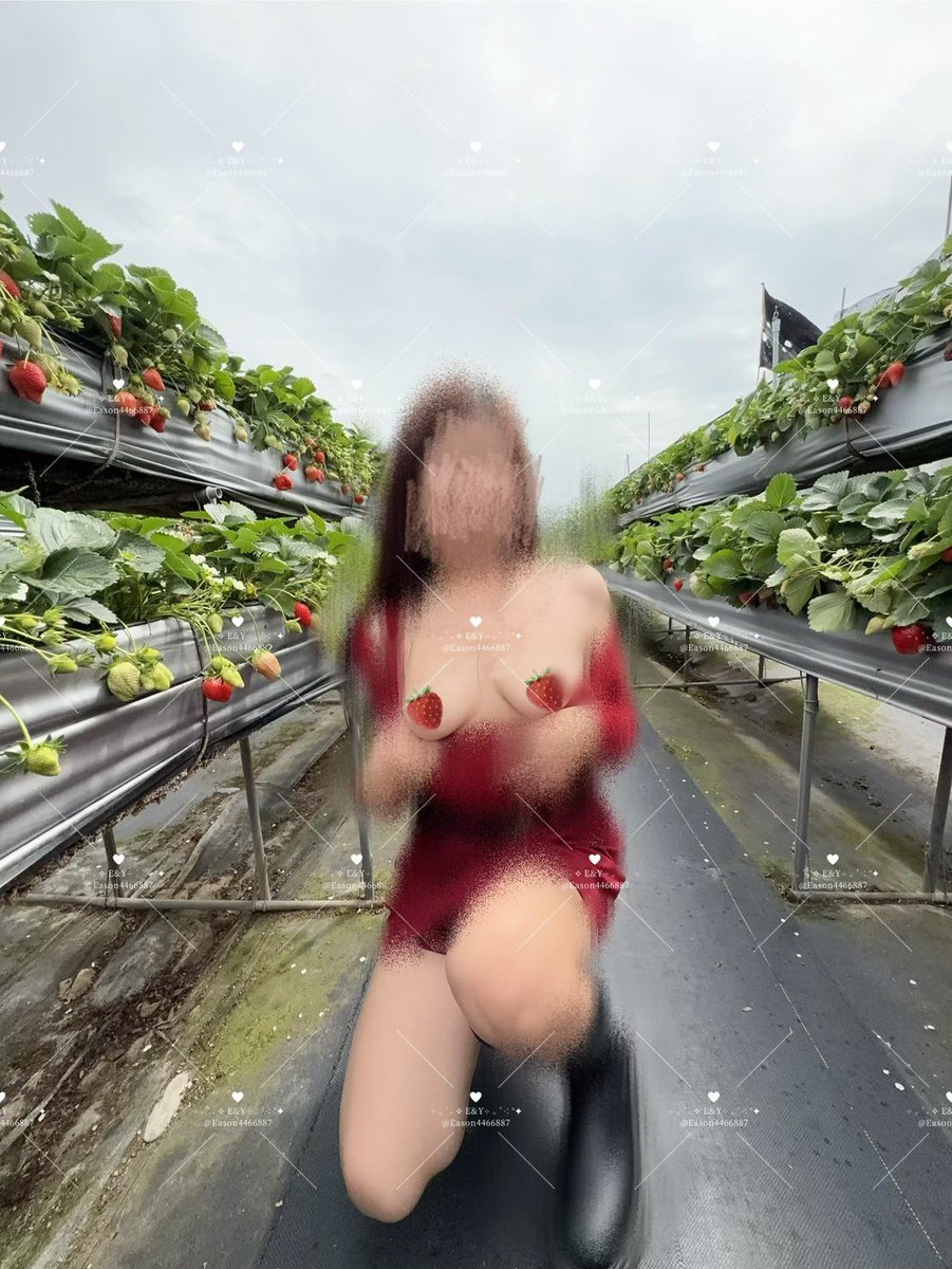 草莓🍓戀乳 tweet media