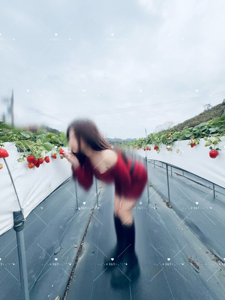 草莓🍓戀乳 tweet media