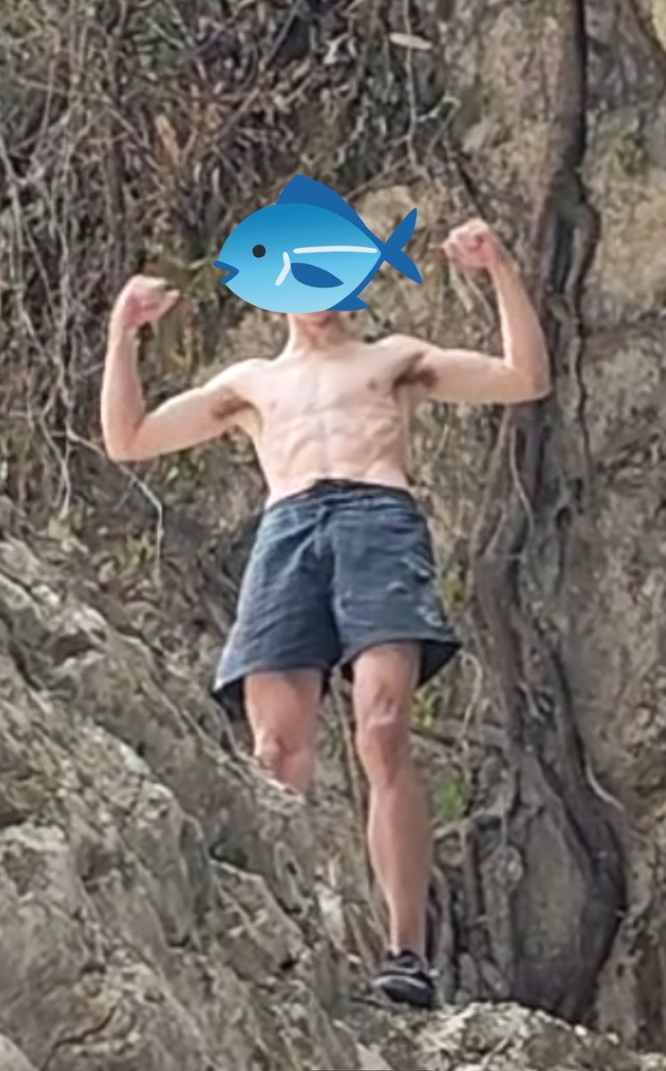 P-san 𓆟 tweet media