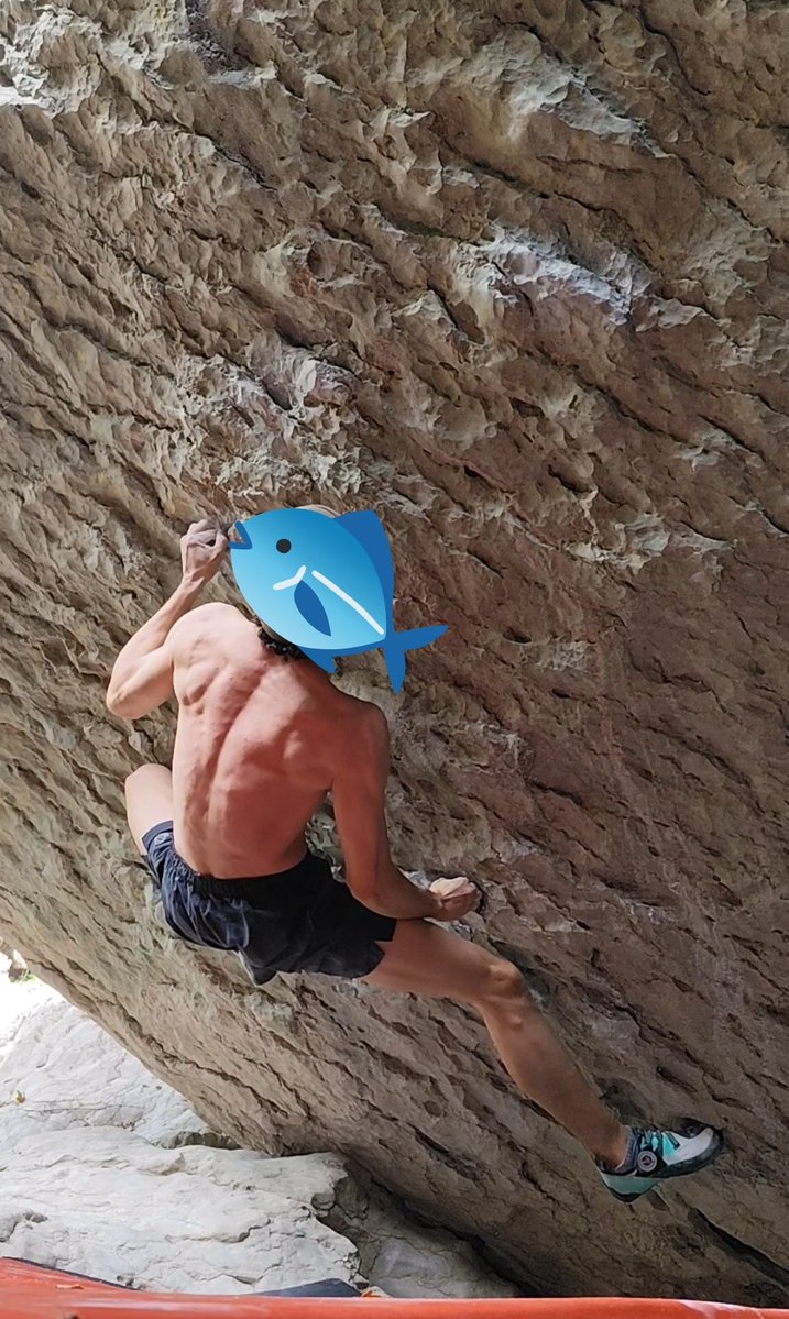 P-san 𓆟 tweet media