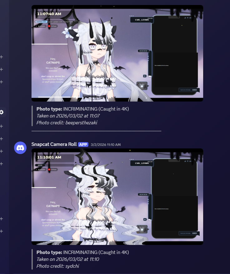 CatNaps 🌦✨ tweet media