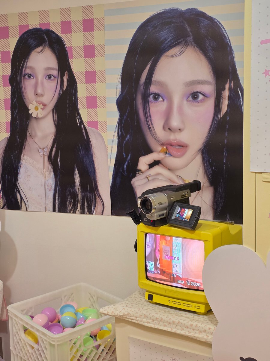 털뭉치🦋 tweet media