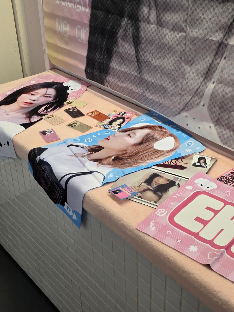 털뭉치🦋 tweet media