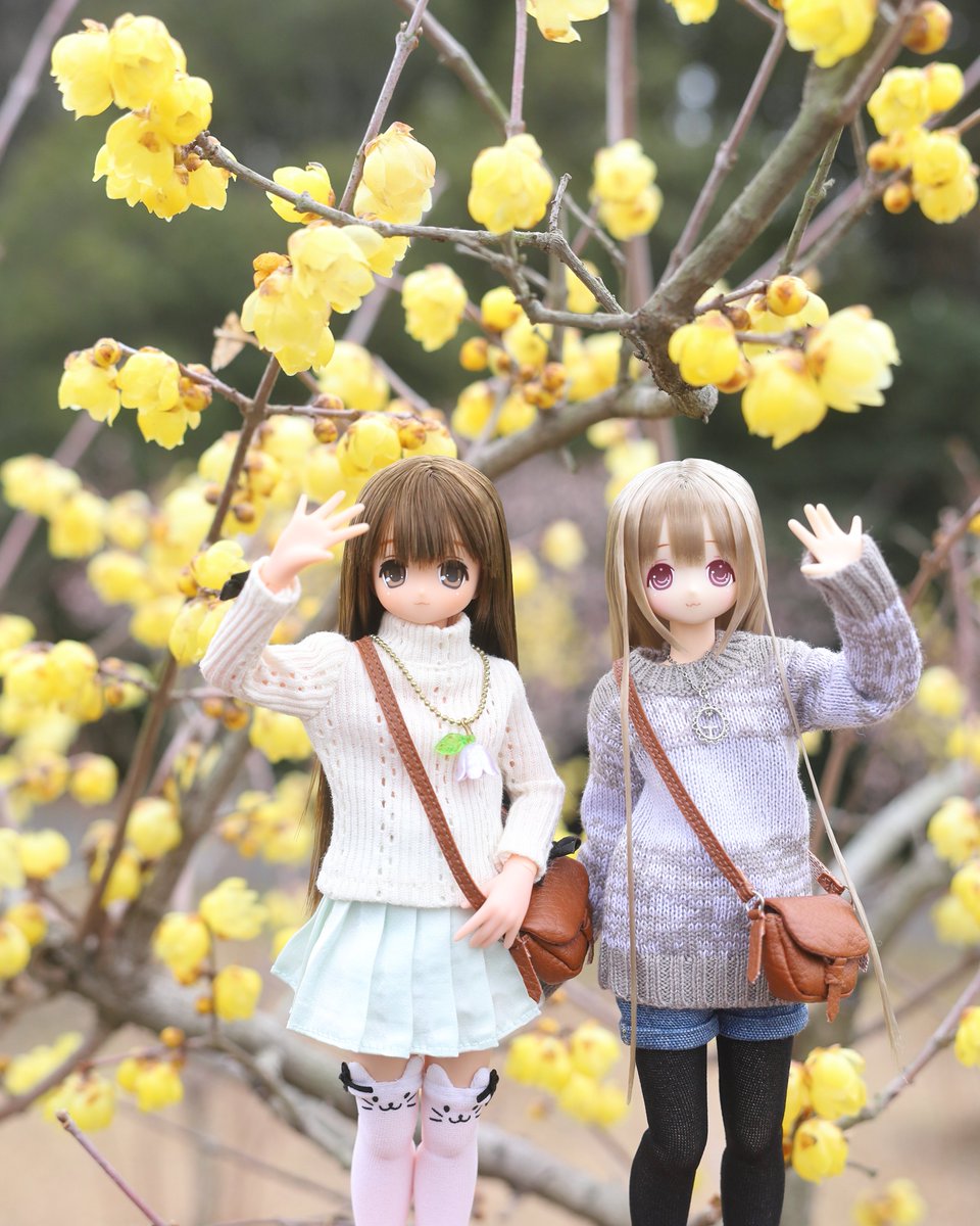 甘い香りを楽しむ二人
#えっくすきゅーと #アゾカツ