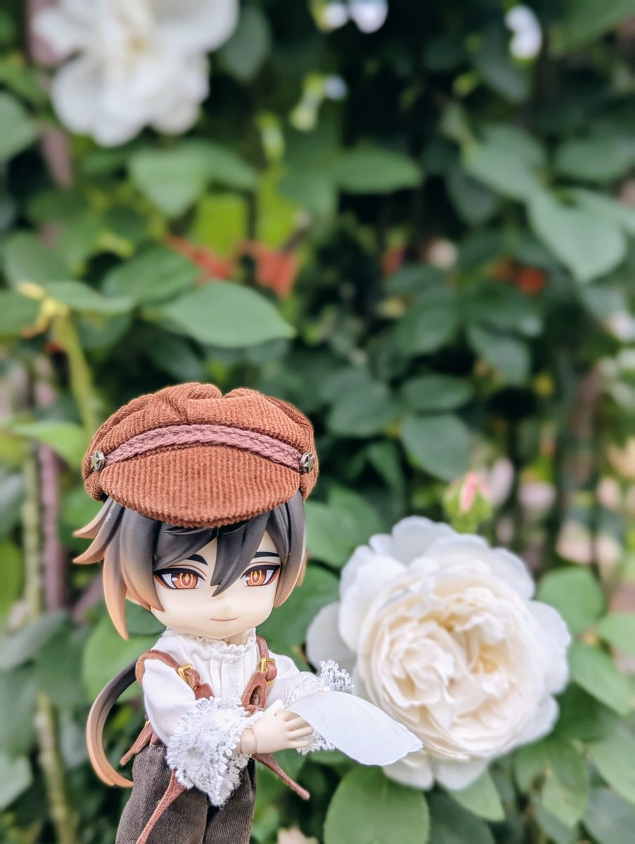 casiarion tweet media