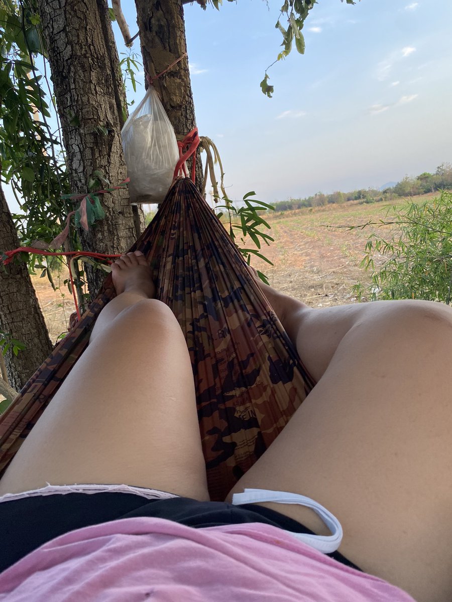 หมวยน้อย🦭 tweet media