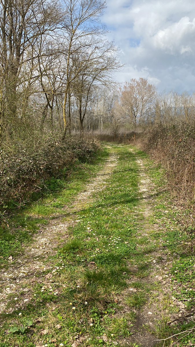 Quando iniziamo una nuova strada…spesso affrontiamo subito tante curve…
Chi non ha paura di proseguire… vedrà spianarsi sempre più rettilinei… ☕️