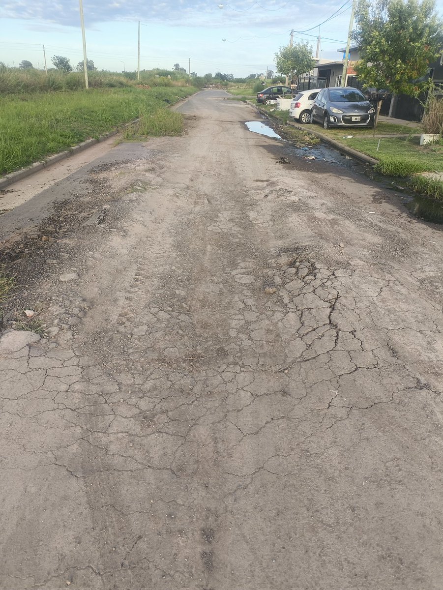 leprarocco tweet media