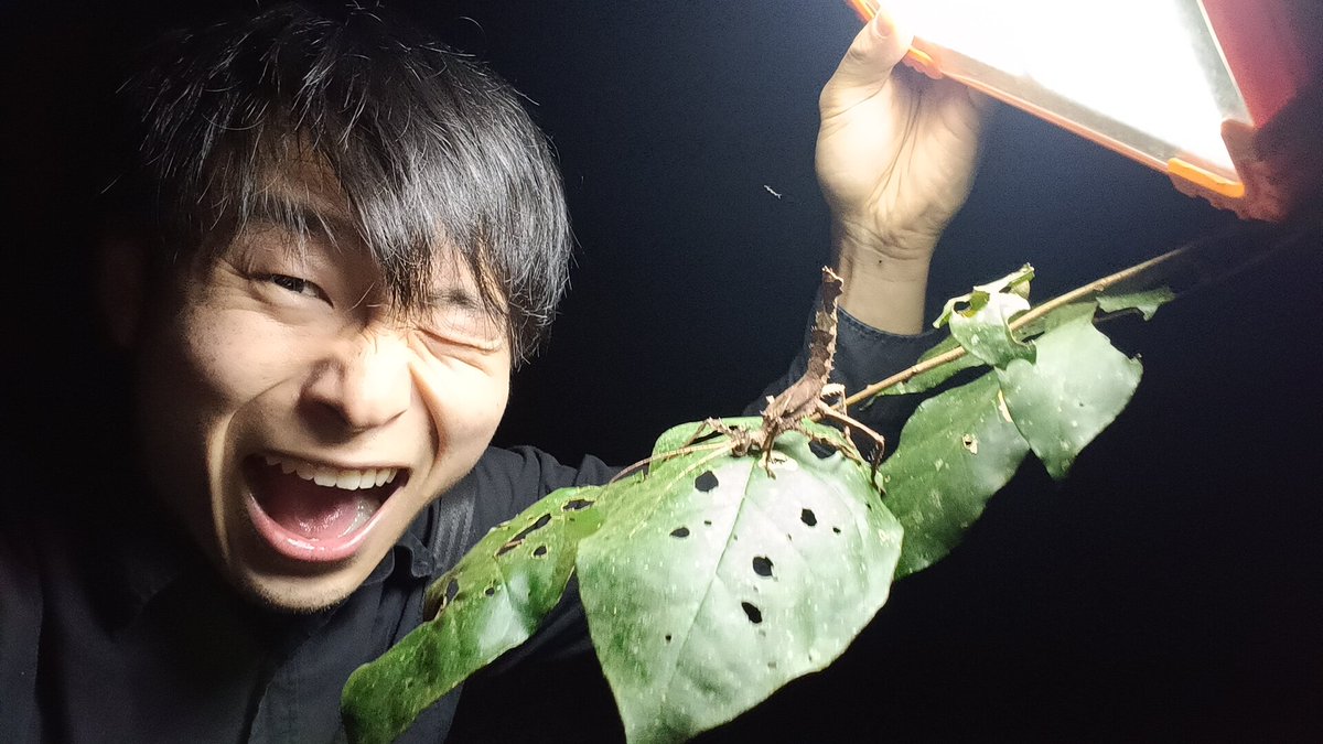 フレイザーズ・ヒル最終日
4日連続で同じレストランに来たら顔覚えられてナゲットサービスしてくれた。
まだ目的の虫を見つけられてないので、これからラストアタック❗