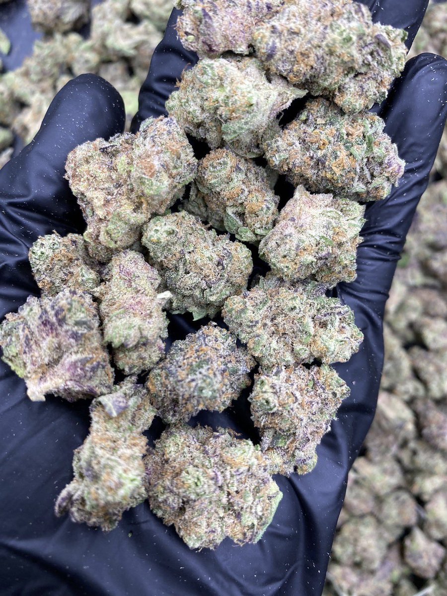 HBud555991's tweet photo. Sugar Tarts 🍬🍭
Indica 50% Sativa 50%
THC ≈ 25%
Flavors : 🍬 Candy · 🍓 Fruity · 🍋 Tart · 🌿 Herbal
Contact Line➡️ https://t.co/eW6KRyECbA
#กัญชา #weed #กัญชากรุงเทพ #OG #สายเขียว #cannabis #กัญชาส่งGrab https://t.co/lucgKoFe5C
