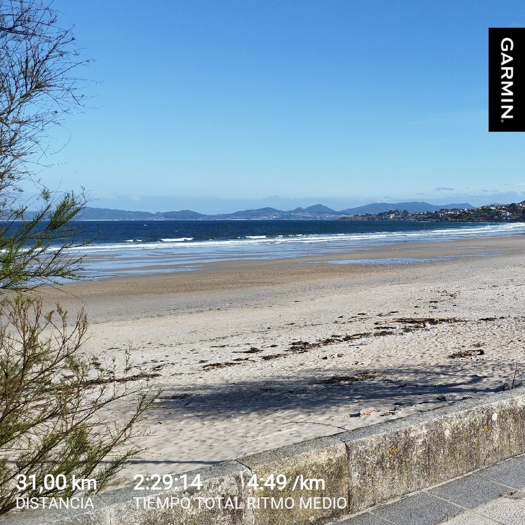 Félix Abalde tweet media