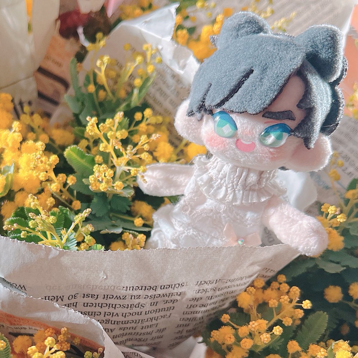 倉敷の闇みおちゃん🐱さくらが去年3/6に来てくれてから1年が経ちました💜笑顔にいつも励まされてます。ありがとう🍀