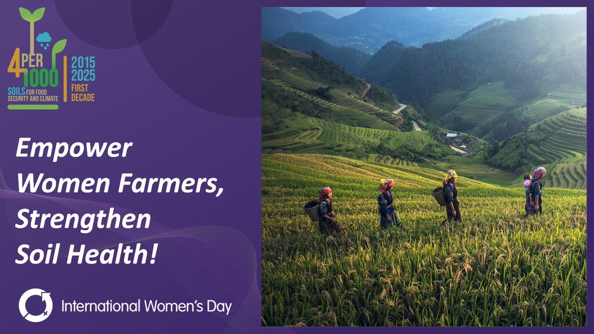 4p1000initiative tweet media