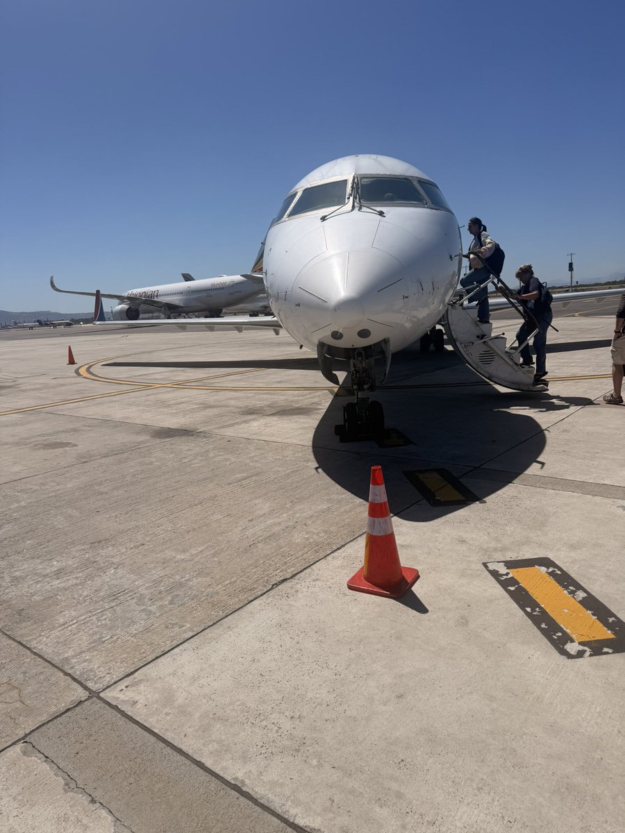 Mbali Ntuli tweet media