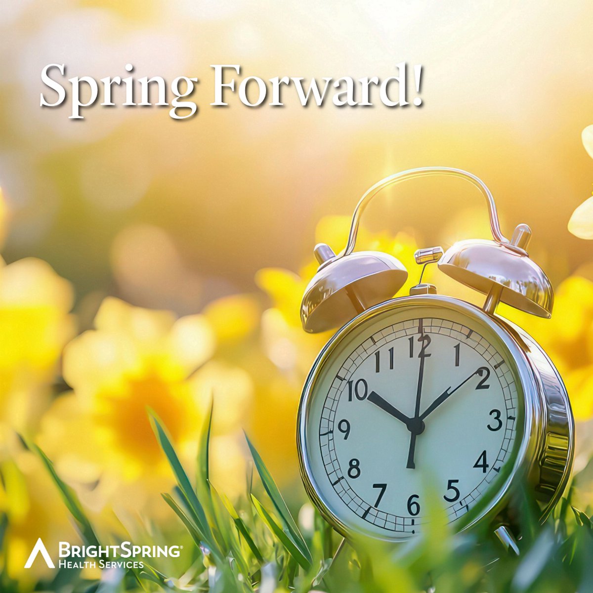 BrightSpring Health Services tweet media