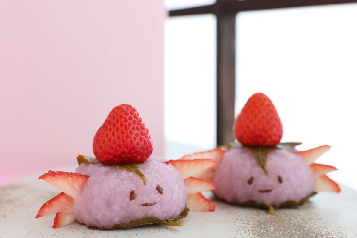 ここなぶ tweet media