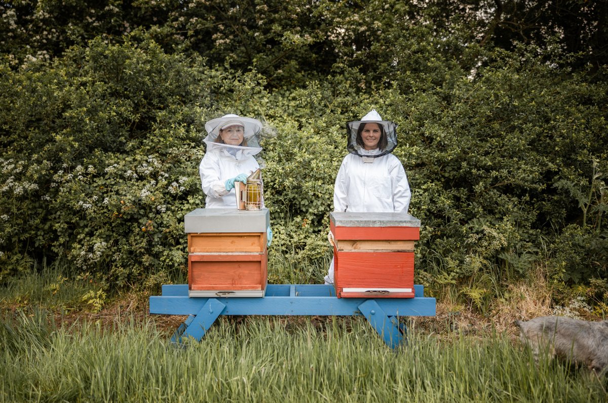 Silks Gin tweet media