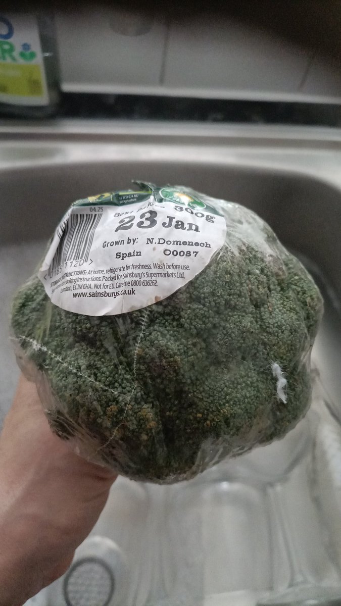 Synergie16 tweet media