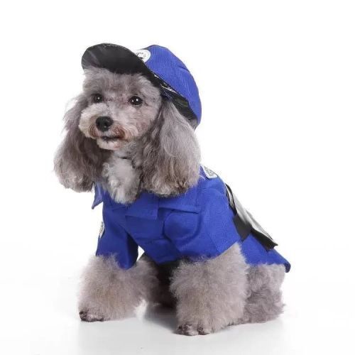 yourdogthings's tweet photo. Stylish pups turn heads too 🐶👕 Check out our adorable dog apparel!
🌐 https://t.co/gtHIT786GK

#YourDogThings #DogFashion #CuteDogs #PetStyle #FurBaby https://t.co/N3uo1UWc0p