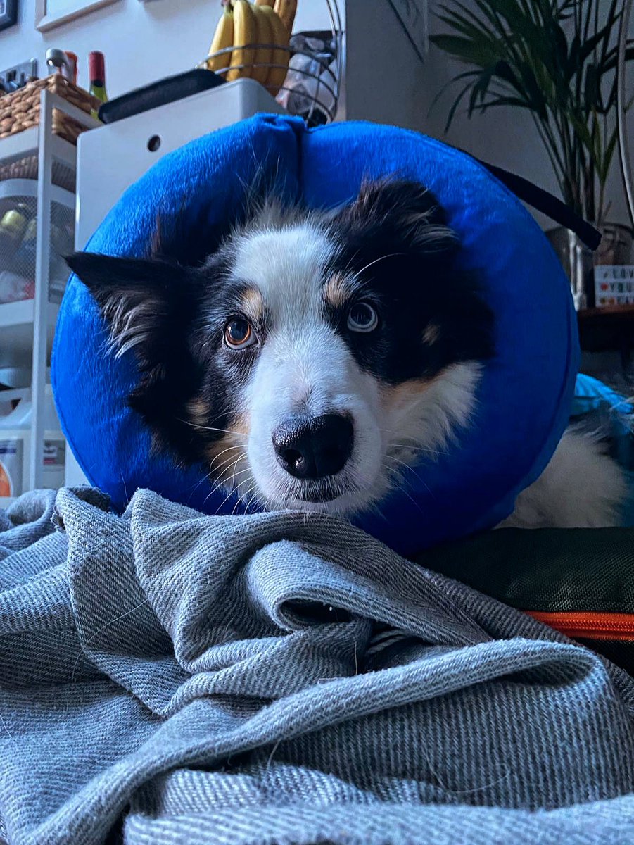 Colum Cronin tweet media