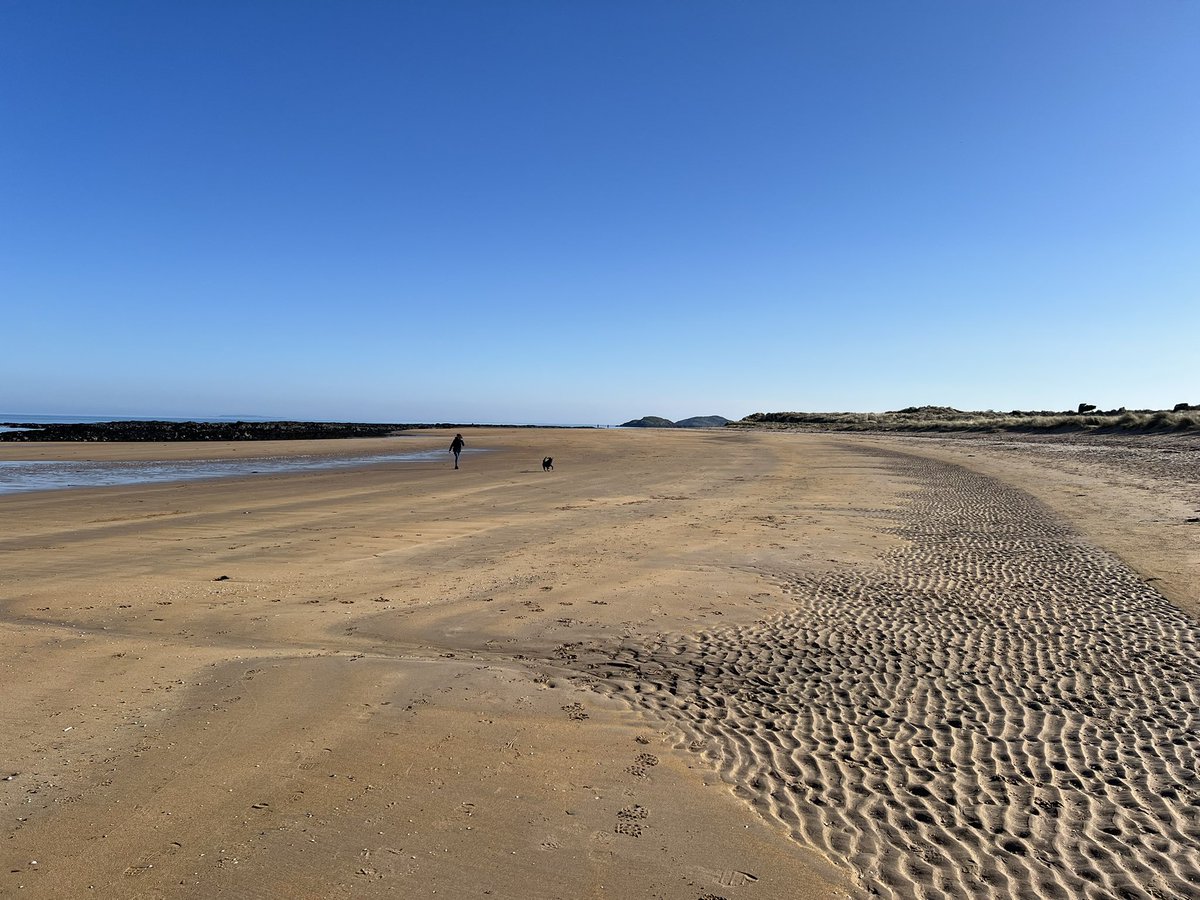 Tim Bonner tweet media