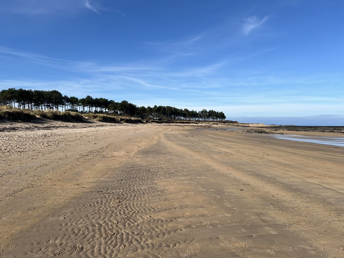 Tim Bonner tweet media