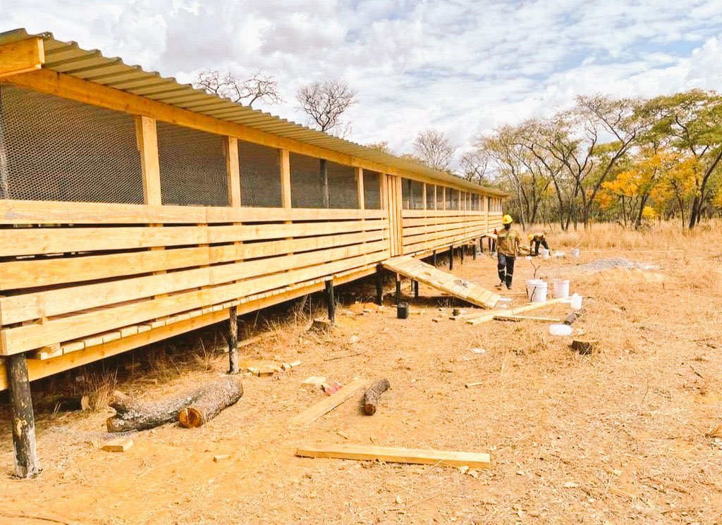 KazunguMireille's tweet photo. Modern goat farming structure. https://t.co/UvRdTKaM66