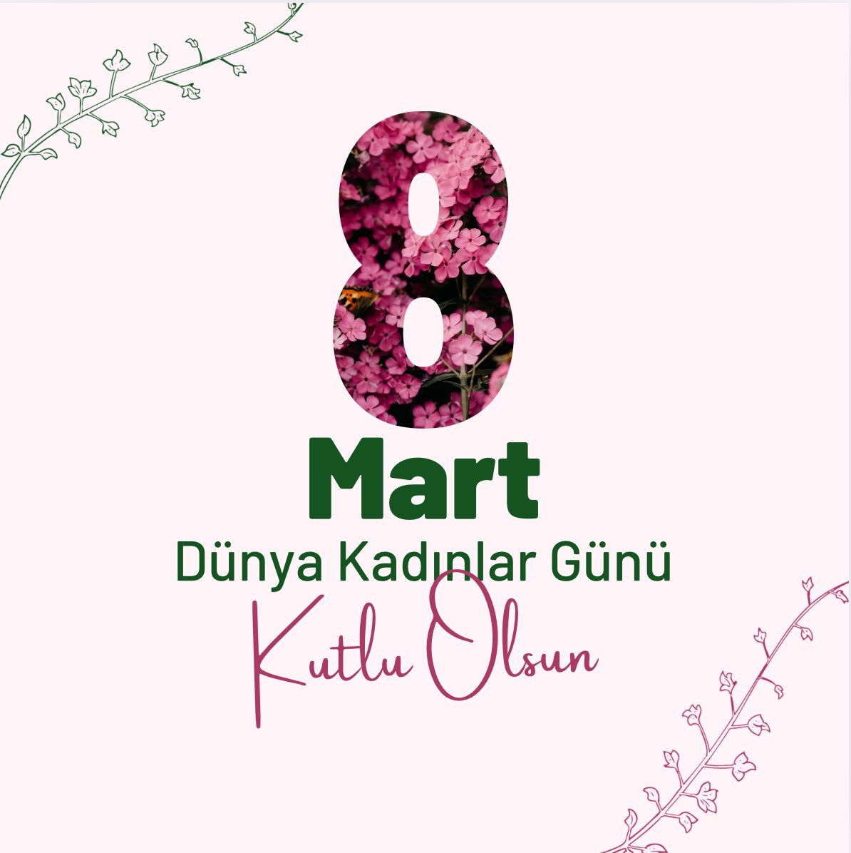 Mustafa ÖZCAN tweet media