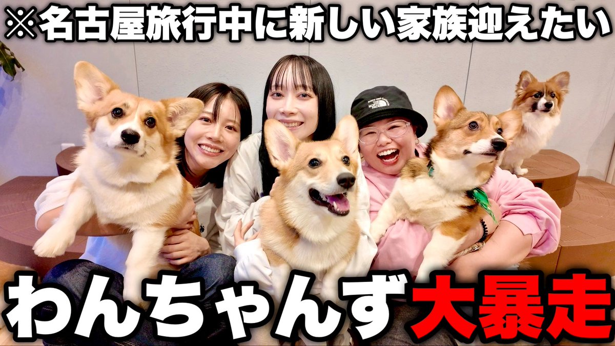 くれいじーまぐねっと tweet media