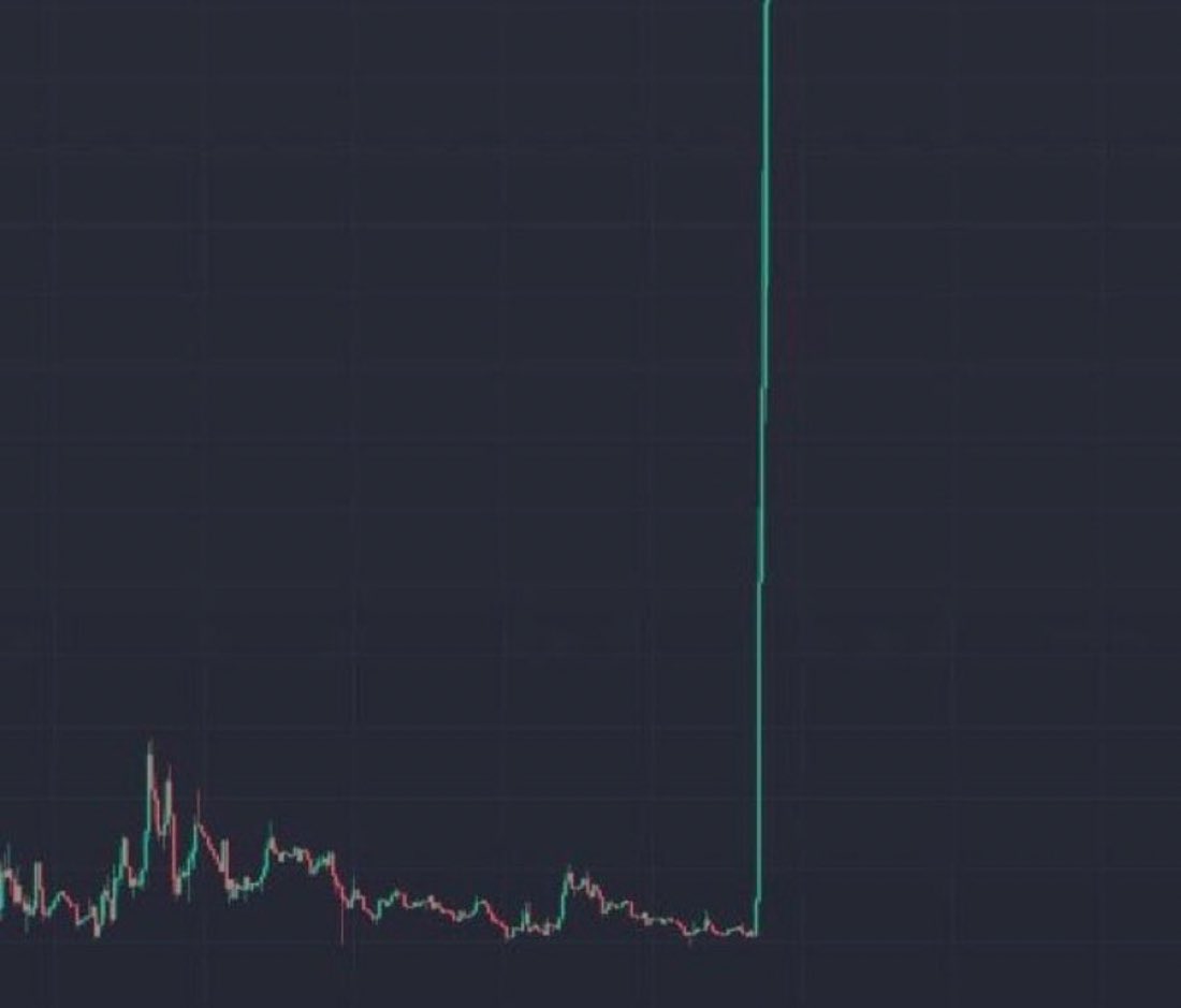 Don 🐂 tweet media