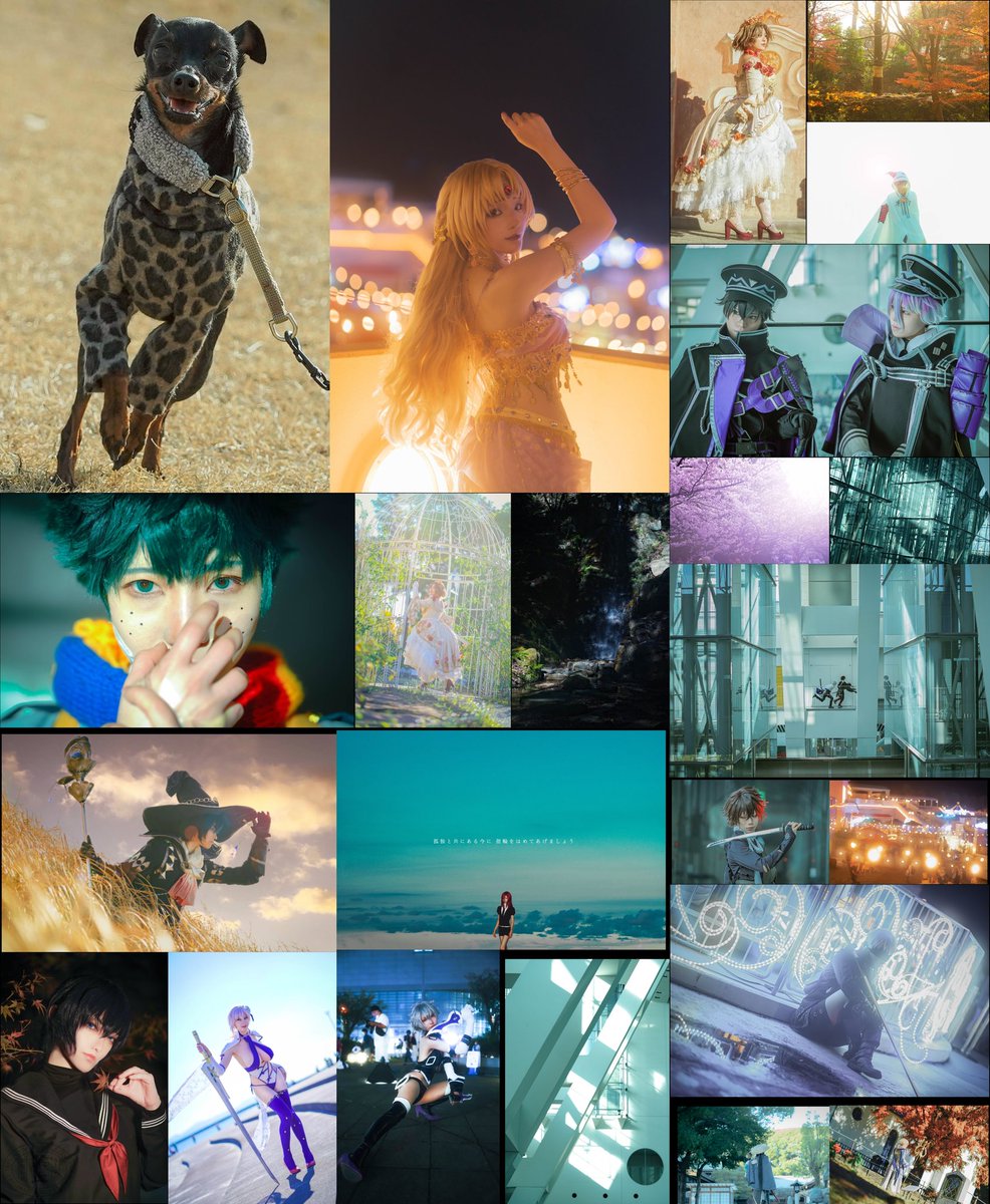 エル@DM通知こないのでリプ一言 tweet media