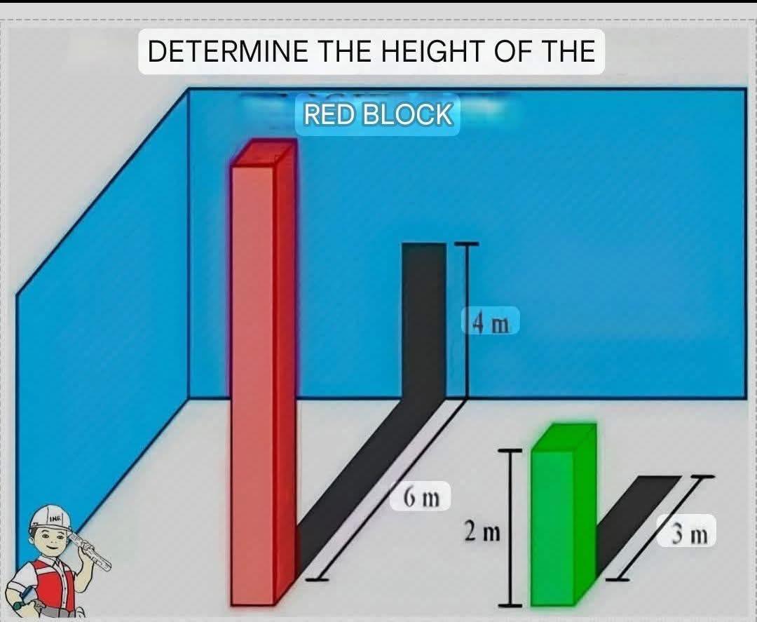 Brain IQ Test tweet media