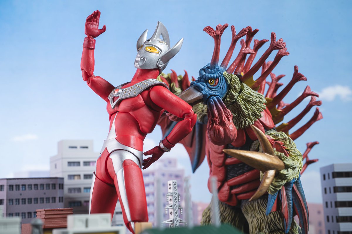 PANORAMA tweet media