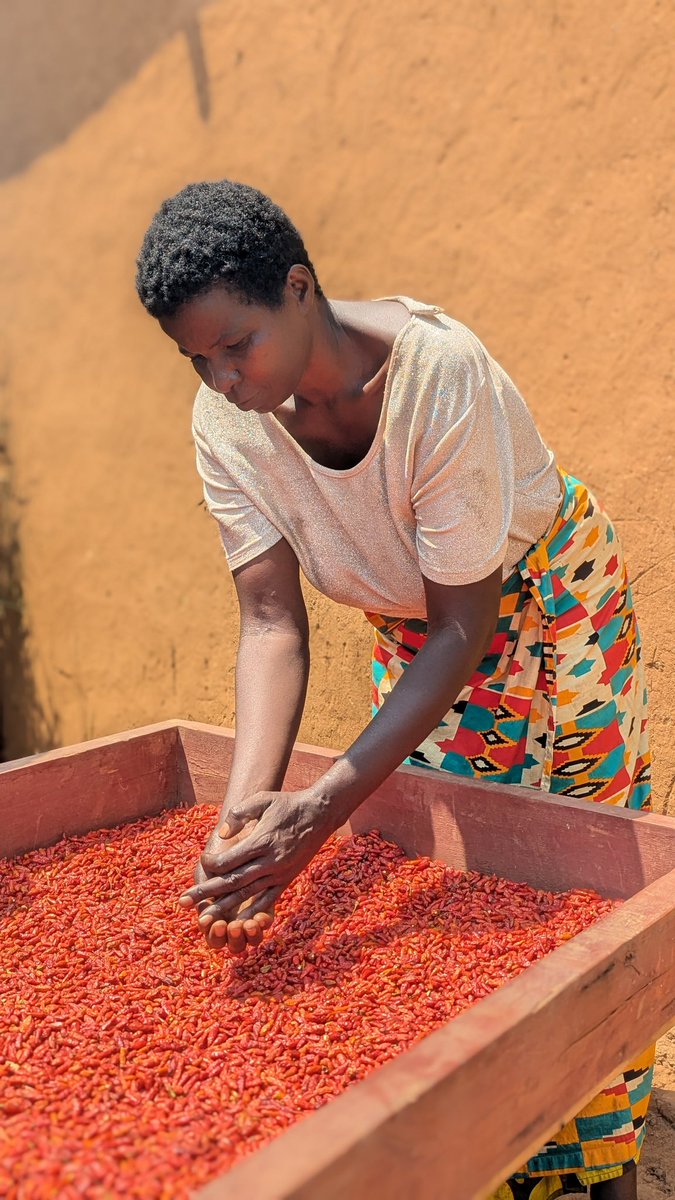 Action Against Hunger, Uganda tweet media