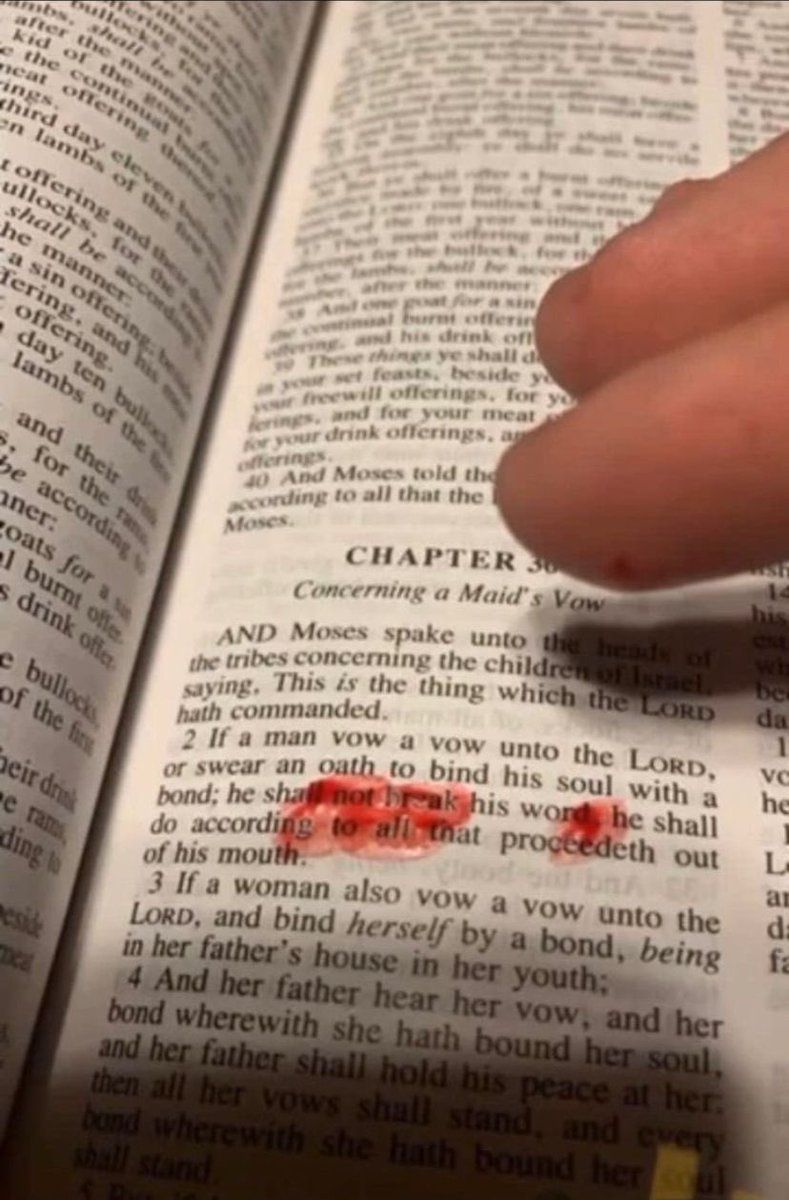 THUGIN✝️🍃 tweet media