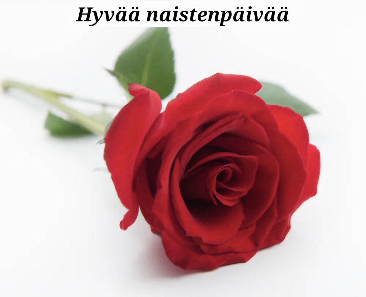 KDVantaa tweet media