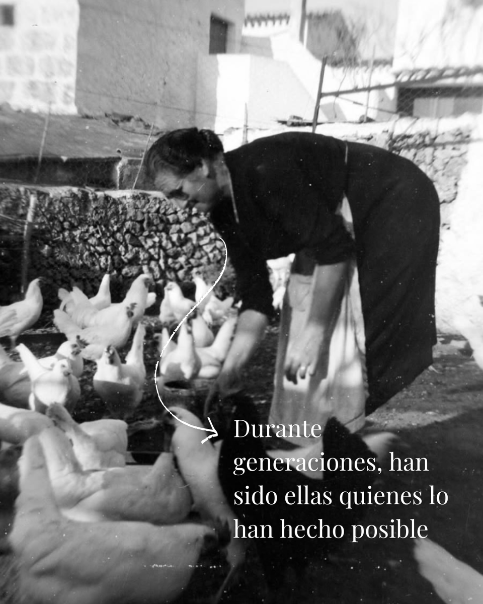 Menorca European Region of Gastronomy tweet media